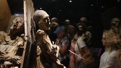 Desaparecen 22 momias de Guanajuato