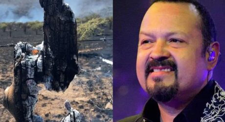 VIDEO: Fuerte incendio consume rancho de Pepe Aguilar
