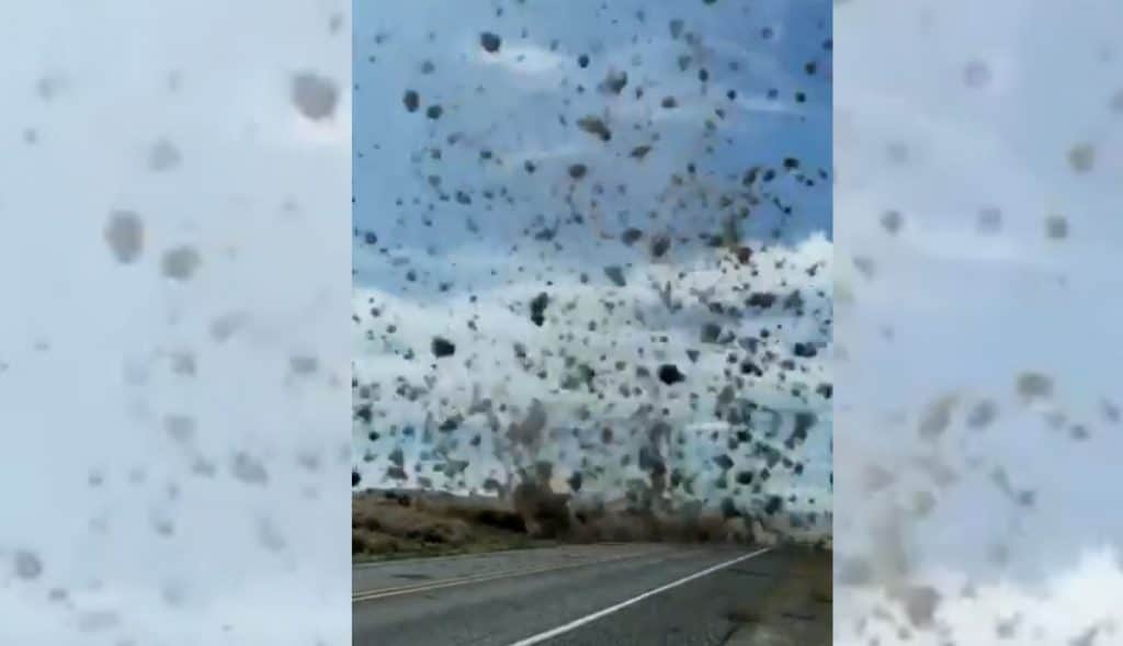 VIDEO: El sorprendente 'tornado' de plantas rodantes