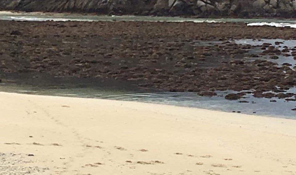 mar-se-aleja-de-huatulco-tras-el-terremoto