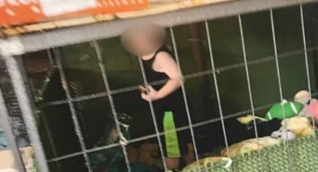 VIDEO: Rescatan a niño que estaba en jaula con 600 animales