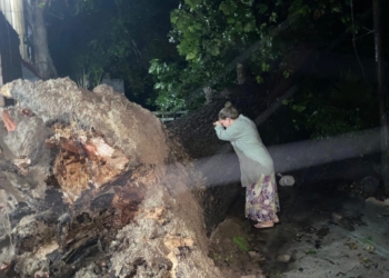 hanna-arranco-arbol-y-mujer-llora-desconsolada