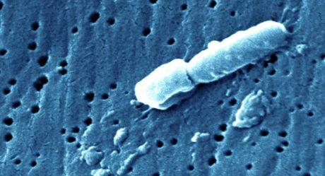 Alertan por ‘misteriosa’ neumonía más mortal que el covid-19