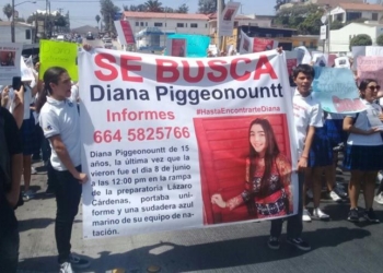 embarazo-posible-movil-de-la-desaparicion-de-diana