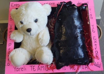 Hallan-baúl-con-droga-la-ocultaban-con-oso-de-peluche