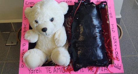 Hallan baúl con droga; la ocultaban con oso de peluche