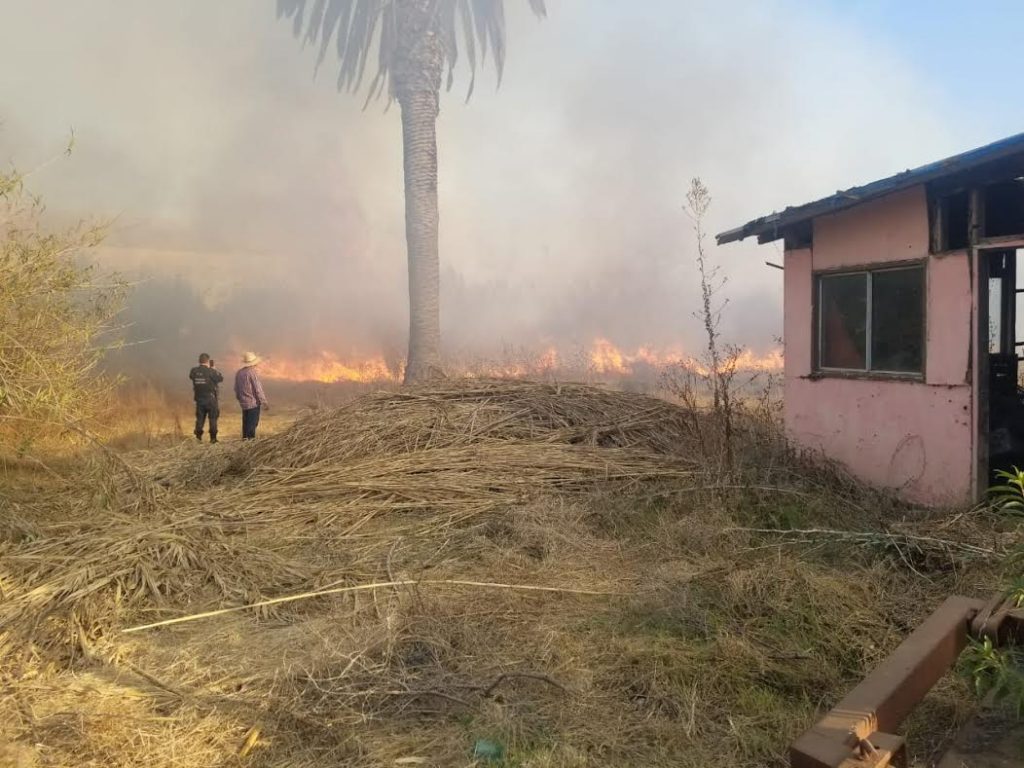 alertan-bomberos-por-altas-temperaturas-y-vientos-en-la-region