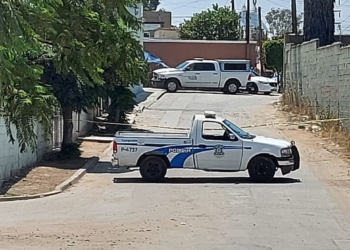 Localizan-entambada-en-carro-de-supermercado