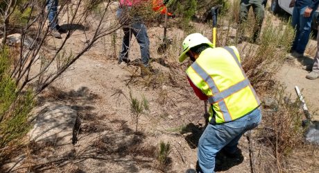 Cobran a víctimas hasta 60 mil pesos por sacar cuerpos de la fosa común