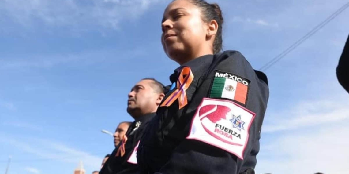 Fuerza-Rosa-combate-de-manera-integral-violencia-contra-la-mujer