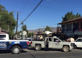 revelan-resultado-de-mega-operativo-de-fuerzas-federales-y-estatales