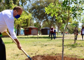 Simpatt-avanza-en-jornada-de-forestación-en-Parque-de-la-Amistad