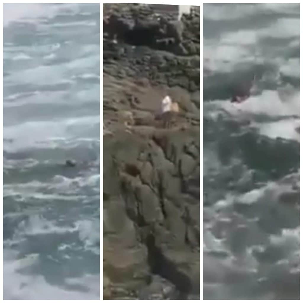 video-adulto-mayor-fue-arrastrado-por-el-mar-en-rosarito