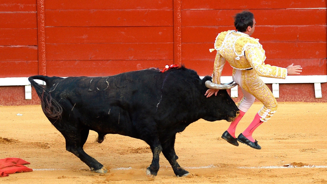 Torero Sufre Brutal Cornada Cuando Se Disponía A Matar Toro Internacional