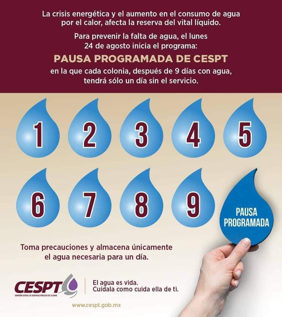 a7cac3c8 b5a5 4db2 b00c 291239714b1d