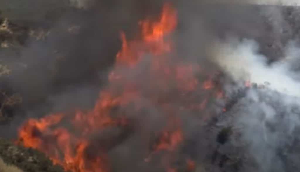California-devastada-por-voraces-incendios-piden-auxilio