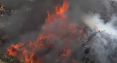 VIDEO: Arde California  y miles están en peligro
