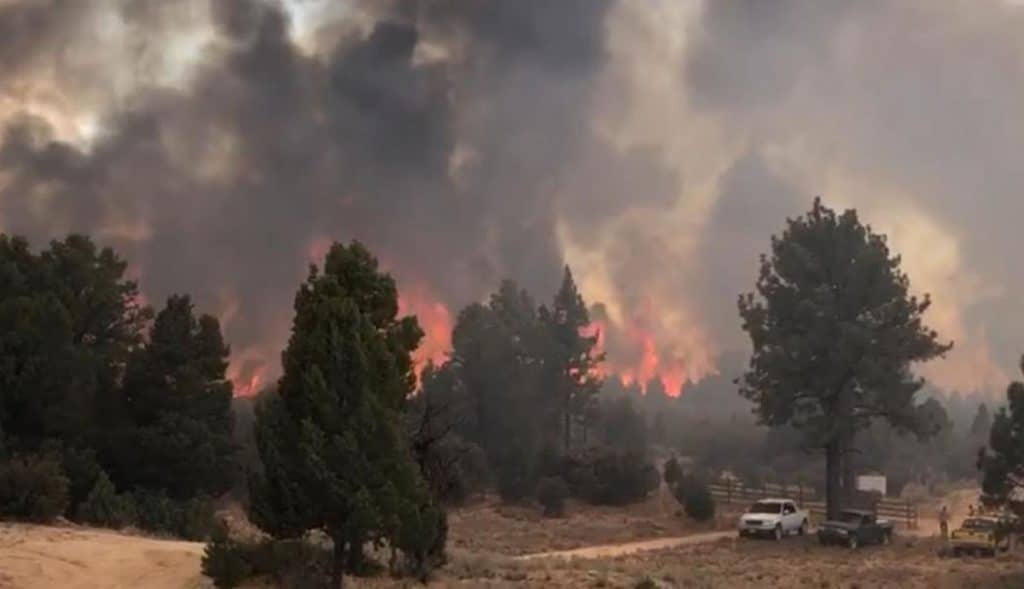 Brigadistas-combaten-gran-incendio-forestal