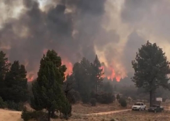 Brigadistas-combaten-gran-incendio-forestal