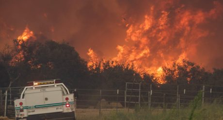 Fiesta de revelación de género provoca infernal incendio