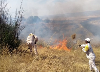 Militares-combaten-incendios-han-consumido-miles-de-hectáreas