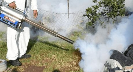 Ayuntamiento fumiga contra dengue y decenas se intoxican