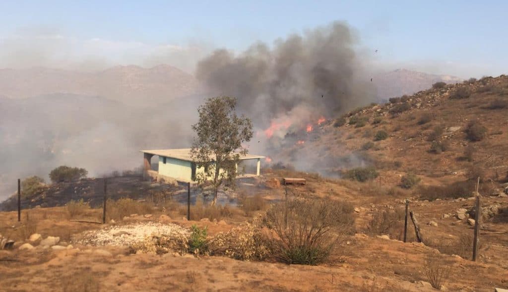 VIDEO-Incendio-de-pastizal-en-inmediaciones-de-UABC