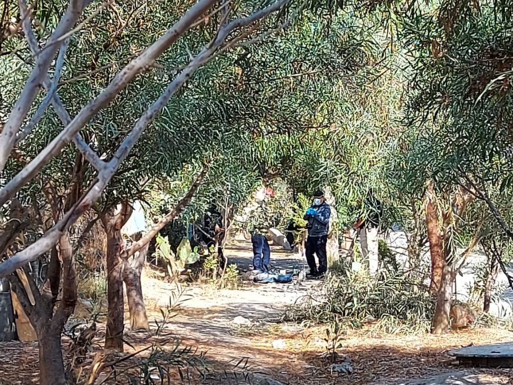 8cc9acfb 960c 4180 9f5b c8ffddab6100