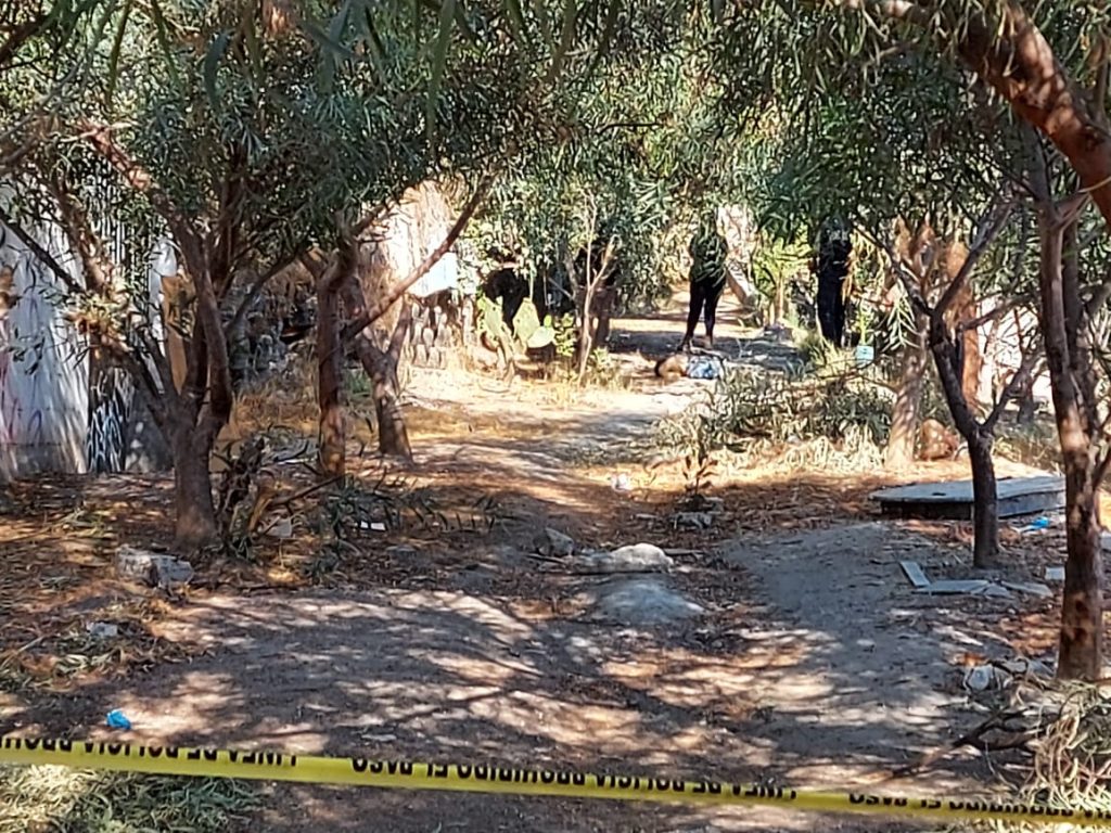 eba1df2f 8516 42fd b7f3 f17795c4b1f6