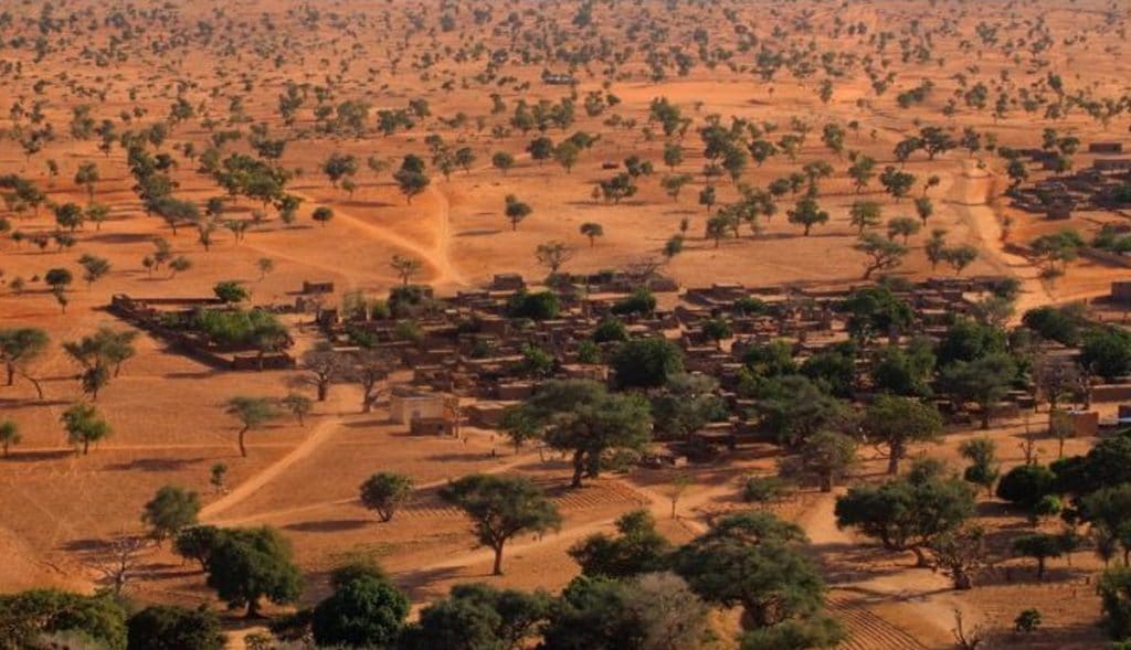 Hallan-millones-de-árboles-en-el-desierto-del-Sahara