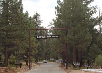 Reabrirán-Parque-Nacional-Sierra-de-San-Pedro-Mártir