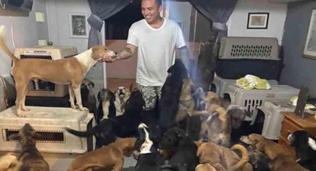 VIDEO: Refugió a 300 perros en su casa ante Huracán Delta