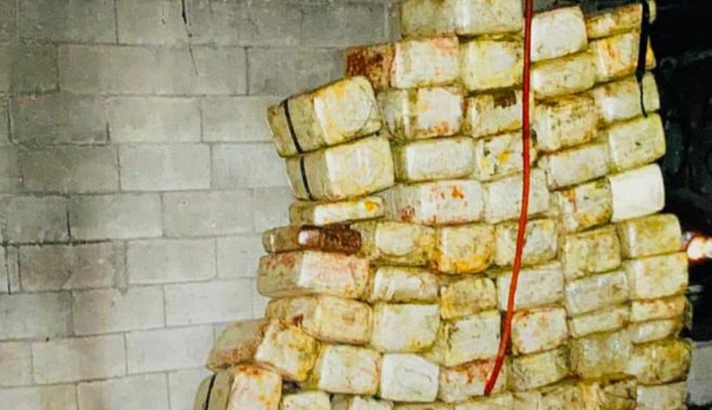 Tras-cateo-decomisan-más-de-700-kilos-de-droga