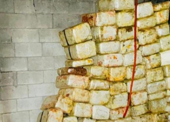 Tras-cateo-decomisan-más-de-700-kilos-de-droga