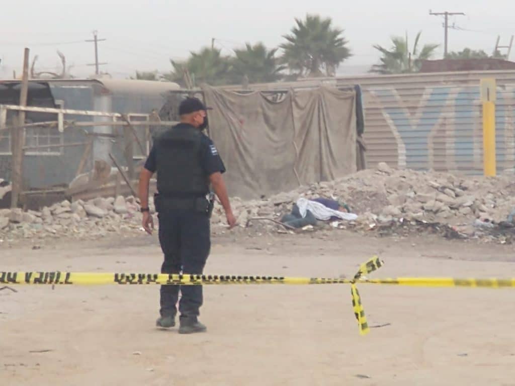 f2ab1c6c 8070 41e0 a72c e127bb599bfc