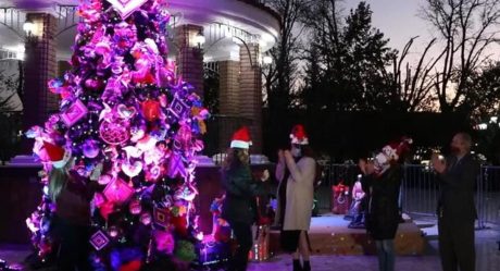 Zulema Adams enciende árbol navideño en Parque Miguel Hidalgo