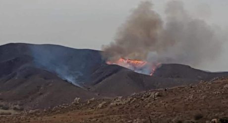 Ayuntamiento trabaja con Sedena y Conafor para sofocar incendios