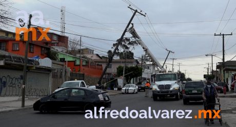 Vientos derrumban postes con electricidad