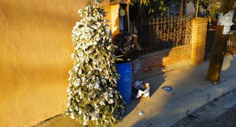 Municipio recolecta árboles navideños en colonias alejadas de la ciudad