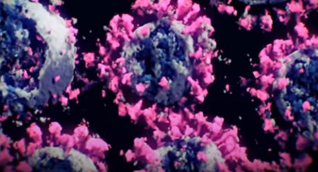 VIDEO: Así se ve el coronavirus en la primera imagen 3D