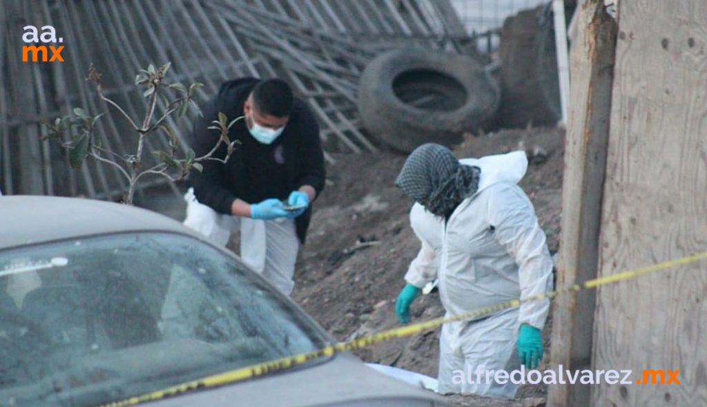 Colectivo-halla-más-cadáveres-en-fosa-clandestina-en-vivienda