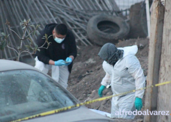 Colectivo-halla-más-cadáveres-en-fosa-clandestina-en-vivienda