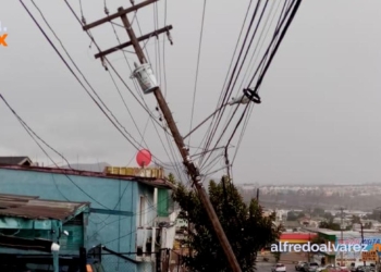 Caen-postes-y-árboles-ante-vientos-fuertes-en-Tijuana