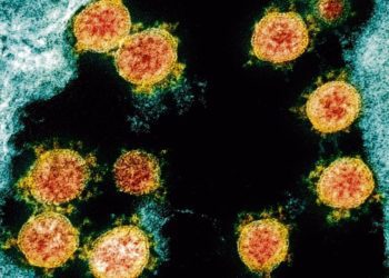 variantes-de-covid-19-detectadas-en-jalisco-serian-locales