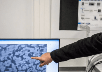 DETECTAN SIETE NUEVAS VARIANTES DE COVID-19 EN ESTADOS UNIDOS