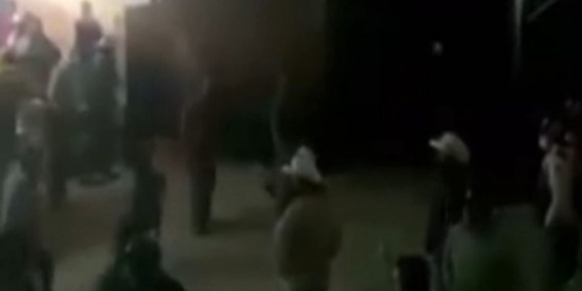 VIDEO: PELEA CAMPAL EN PALENQUE DEJA UNA VíCTIMA