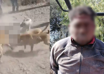 VIDEO: VECINOS AMARRAN A PRESUNTO LADRóN Y LE ECHAN LOS PERROS