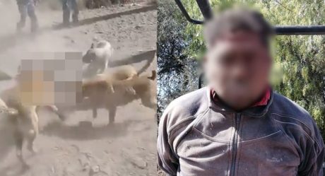 VIDEO: Vecinos amarran a presunto ladrón y le echan los perros