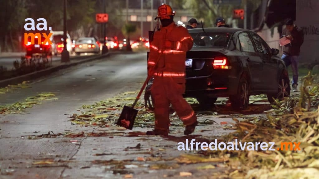 DECENAS DE ELOTES PROVOCAN ACCIDENTE EN VíA RáPIDA