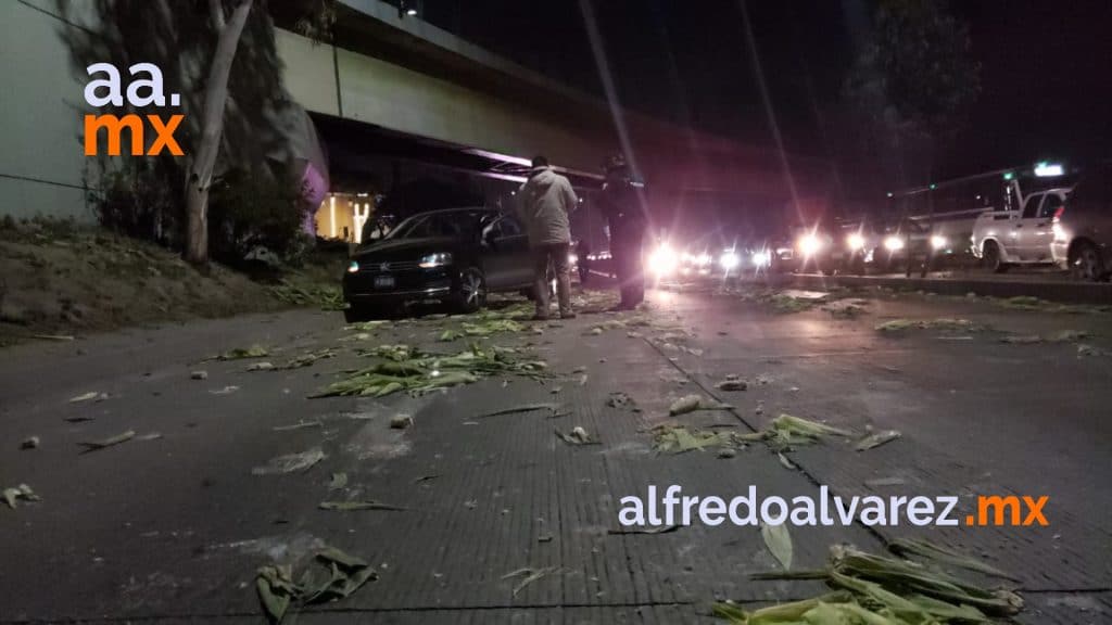 DECENAS DE ELOTES PROVOCAN ACCIDENTE EN VíA RáPIDA